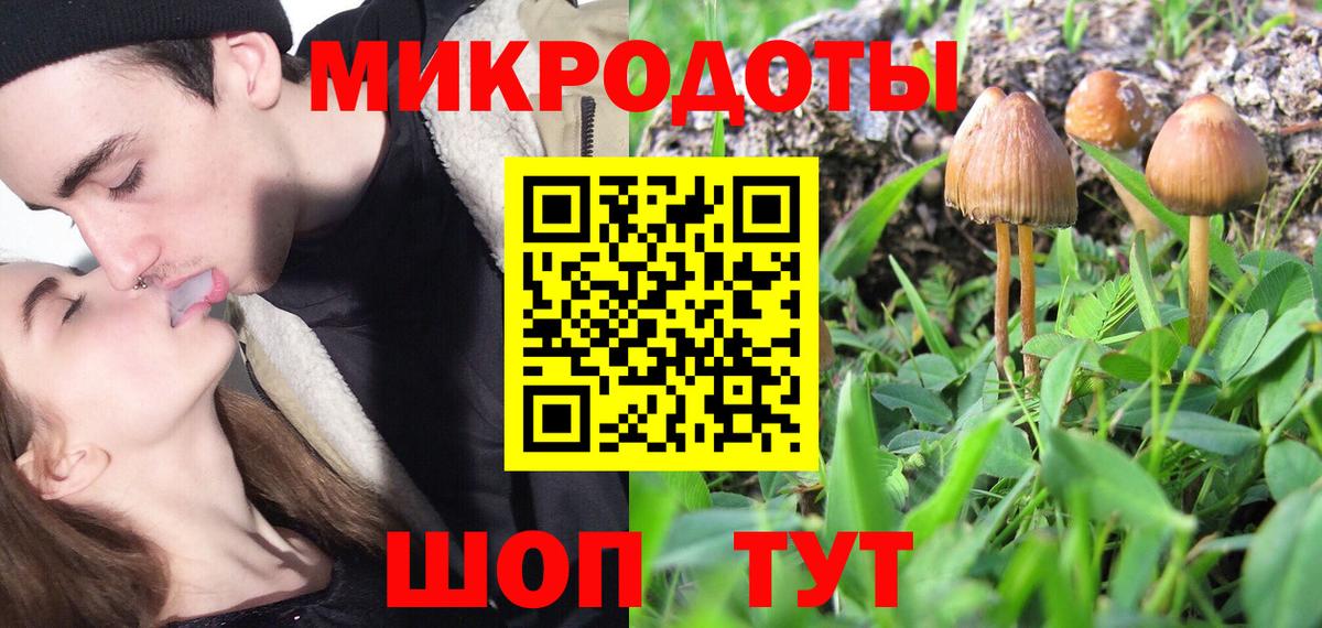 Псилоцибиновые грибы Psilocybine cubensis Усть-Илимск
