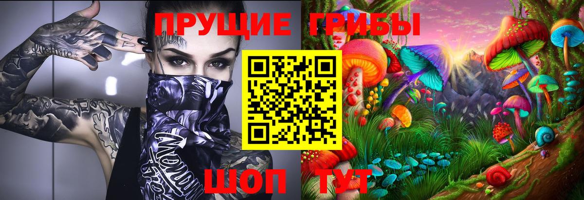 Галлюциногенные грибы Magic Shrooms  Вход с VPN  Усть-Илимск  цена наркотик  Псилоцибиновые грибы GOLDEN TEACHER 